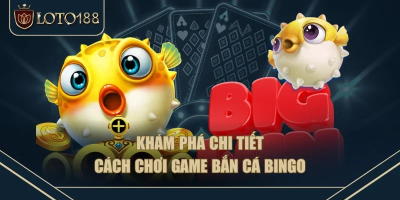 Khám phá chi tiết cách chơi game bắn cá Bingo Khám phá chi tiết cách chơi game bắn cá Bingo
