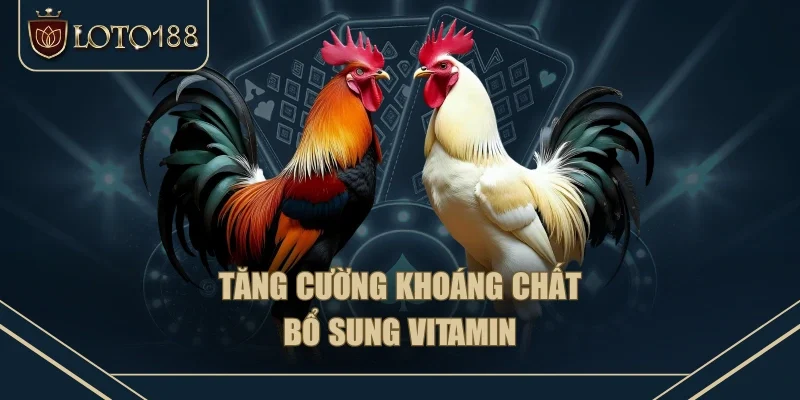 Tăng cường khoáng chất, bổ sung vitamin